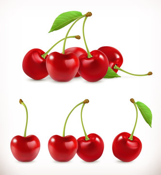 Cherry. Sweet fruit. 3d vector icons set. Realistic illustration