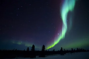 Fototapete Nördlicher Polarkreis Nachthimmel beleuchtet mit Aurora Borealis, Nordlicht, Wapusk Nationalpark, Manitoba, Kanada.
