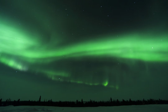 Nightsky lit up with aurora borealis, northern lights, wapusk national park, Manitoba, Canada.