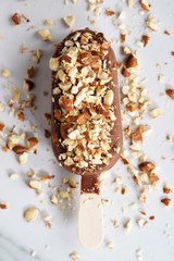 chocolate popsicle