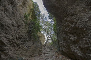 Crimea. View of a narrow gorge.