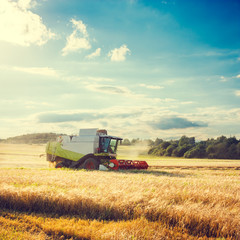 Obraz premium Combine Harvester on a Wheat Field. Agriculture.