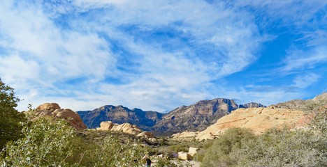 Scene in Red Rock Canyon