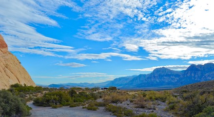 Scene in Red Rock Canyon