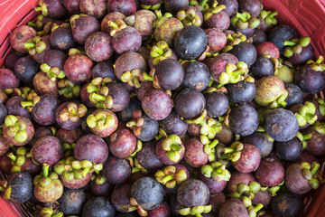 Mangosteen in the basket at Market fruit southeast Asia.