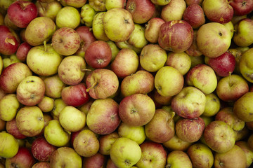 A whole page of picked red and yellow apple background texture