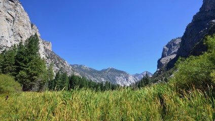 Fototapeta premium Zumwalt Meadow in Kings Canyon National Park, California