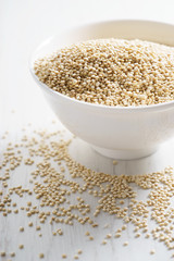 white dried quinoa seeds