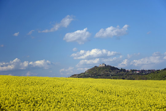 Felder am Otzberg