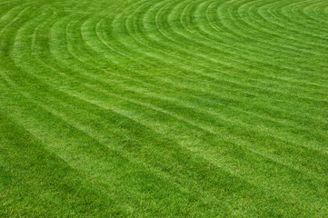 A field with freshly cut green grass in city park