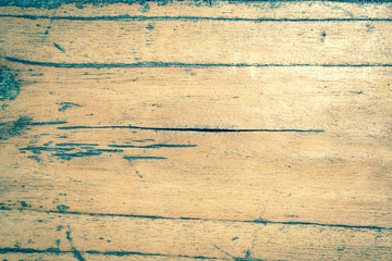 Texture of wood background