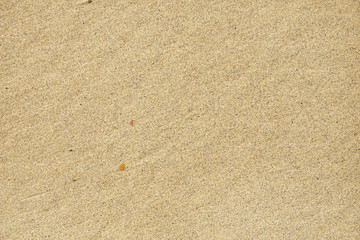 A full page of smooth sand background texture