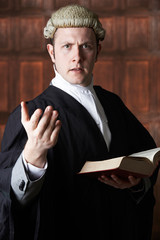 Portrait Of Lawyer Holding Brief And Book Making Speech