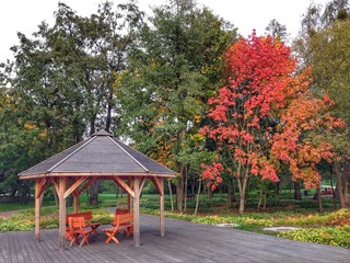 Jesień w Parku Centralnym w Olsztynie