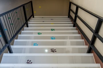 Papier Peint photo Lavable Escaliers Concrete staircase with animals footprint