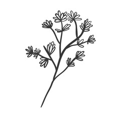 plant with ramifications and flowers vector illustration