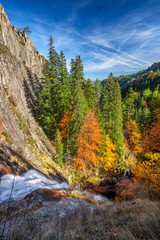 Fototapeta na wymiar Amazing view of an autumn forest in Rhodopi Mountains, Bulgaria
