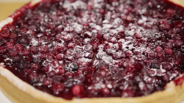 Red Currant Tart loopable