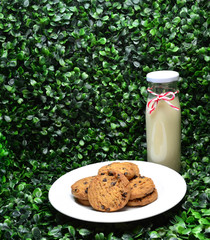 Chocolate chip cookies on plate and bottles of milk on green bac