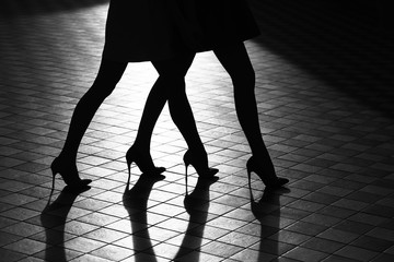Female legs in shoes
