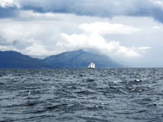 OLYMPUS DIGITAL CAMERA © martagro