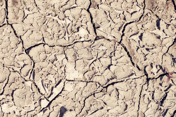 Dry soil with cracked surface