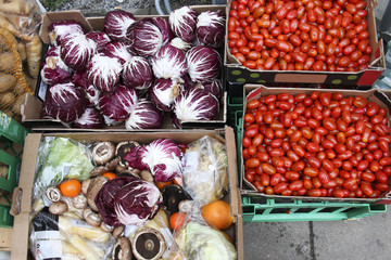 Vegetables in boxes