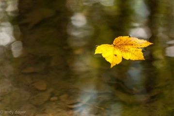 herbst