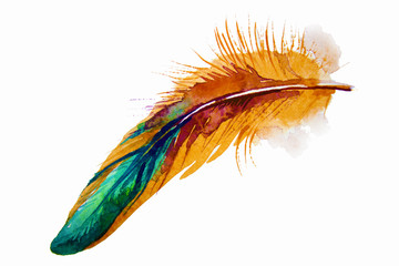 Hand drawn watercolor vibrant feather set. Boho style. illustration isolated on white. Bird fly design for T-shirt, invitation, wedding card.Rustic feathers Bright colors. © elennadzen