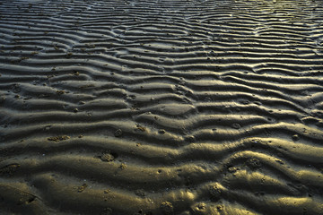 Surface sand of the beach with the evening sun .