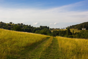 Fototapeta premium Countryside