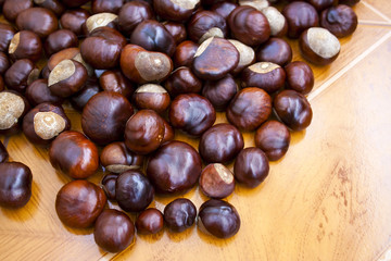Chestnuts scattered on the floor