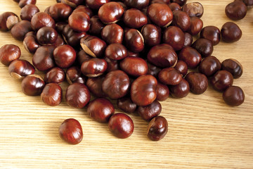 Chestnuts scattered on the floor