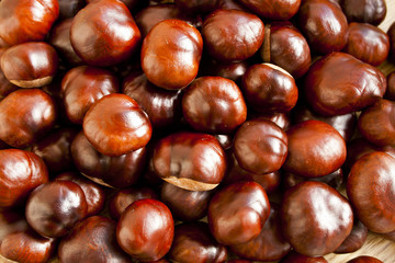 Chestnuts scattered on the floor