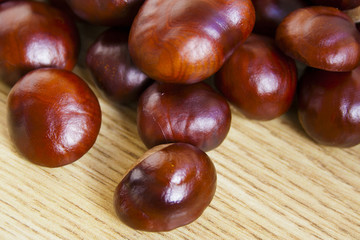 Chestnuts scattered on the floor