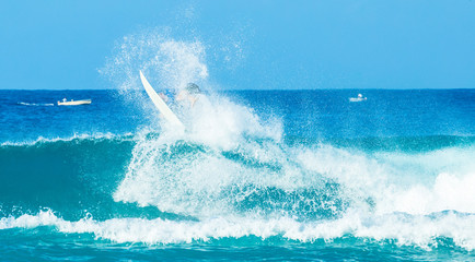 Naklejka premium surfer in good waves in the caribbean