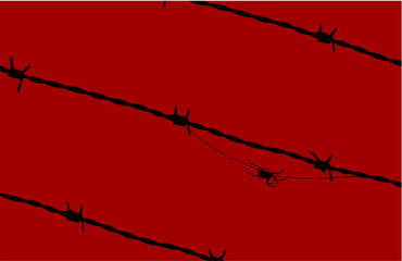 Black spider in barbed wired over a red background.