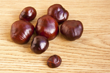 Chestnuts scattered on the floor