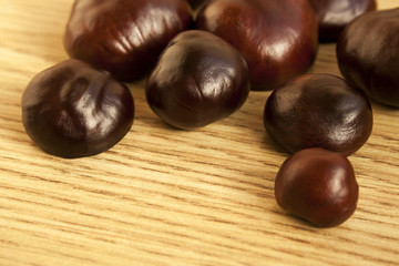 Chestnuts scattered on the floor