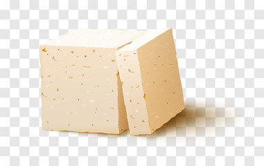 Piece of tofu on transparent background. Tofu cheese. vector stock - obrazy, fototapety, plakaty