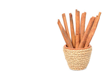 Cinnamon sticks in pottery pot with clipping path