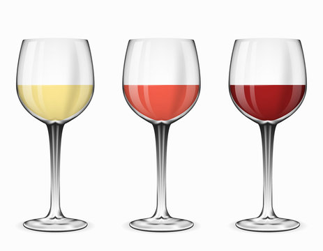 Wine glasses vector. Glass of red rose and white beverage