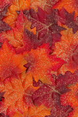 Glitter Autumn Leaves Background