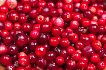 Fresh cowberry or cranberry abstract background close up