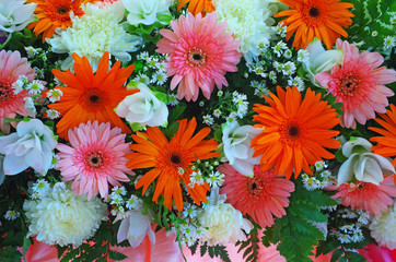 Many flowers included gerbera and chrysanthemum background