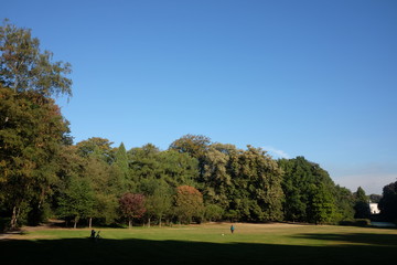 Landscape in Antwerp
