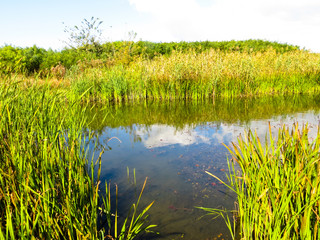 View on a river Dnieper on early autumn