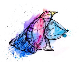 stylized bird flying made watercolors
