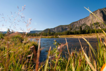 Blick durch Grasbüschel auf einen Bachlauf und Gebirge im Yellowstone Nationalpark