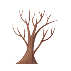 Bare Tree Without Leaves. Oak. Vector